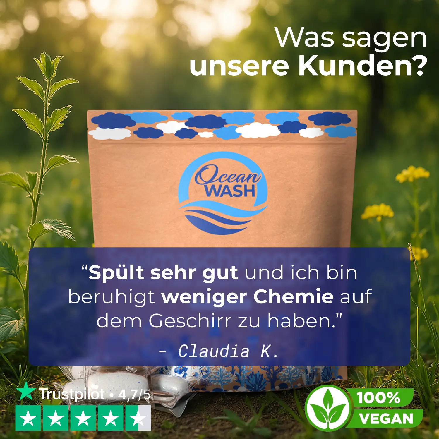 Spülmaschinenpods - Image 4